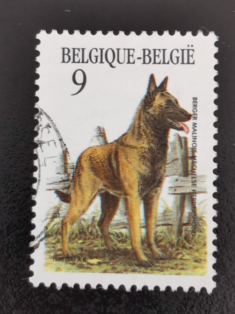 Belgie 1986 - honden - Mechelse herdershond, Ophalen of Verzenden, Gestempeld