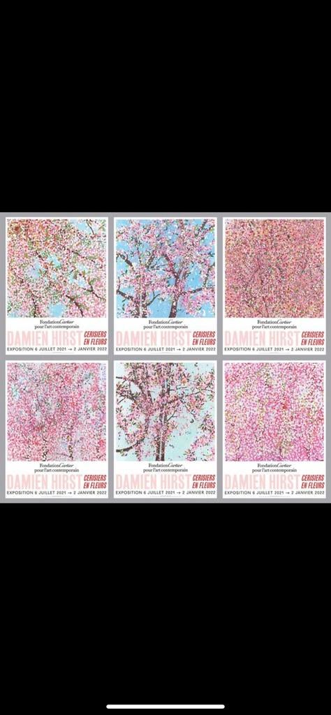 Damien Hirst - Cherry Blossoms - 6x, Ophalen of Verzenden