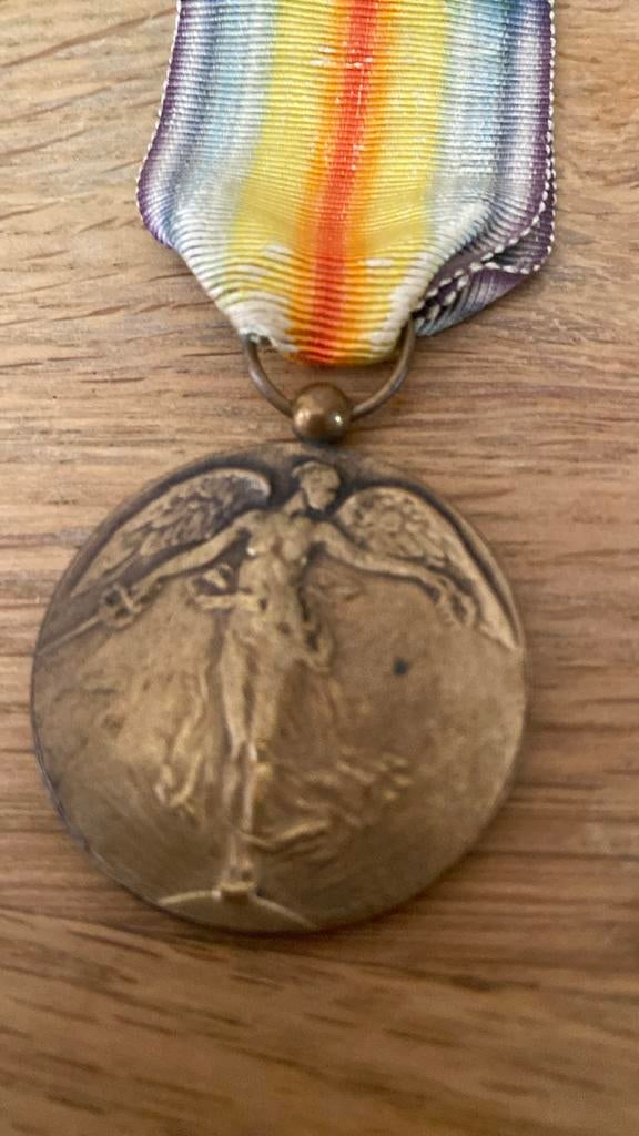 Médaille bronze guerre 14 18  1919, Collections