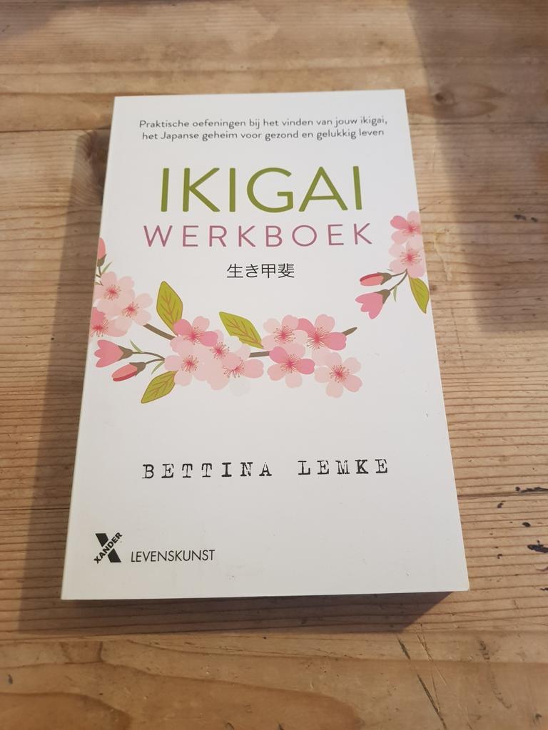 Bettina Lemke - Het Ikigai WERKBOEK, Boeken, Overige Boeken, Zo goed als nieuw, Ophalen of Verzenden