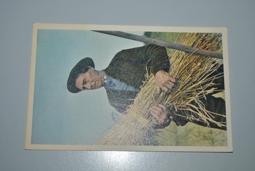 Pays-Bas Carte postale Costume régional, Collections, Cartes postales | Pays-Bas, Envoi