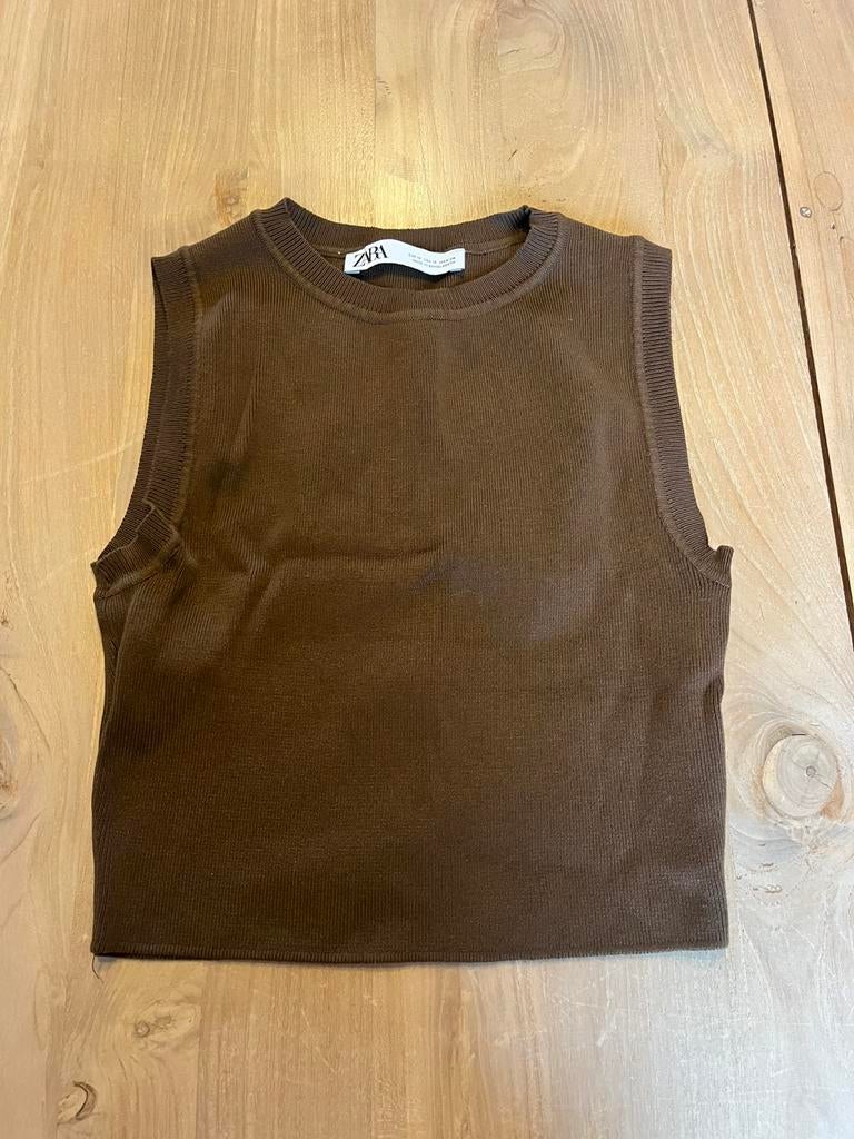 Bruine top van Zara, Maat 38/40 (M), Bruin, Ophalen of Verzenden, Zo goed als nieuw