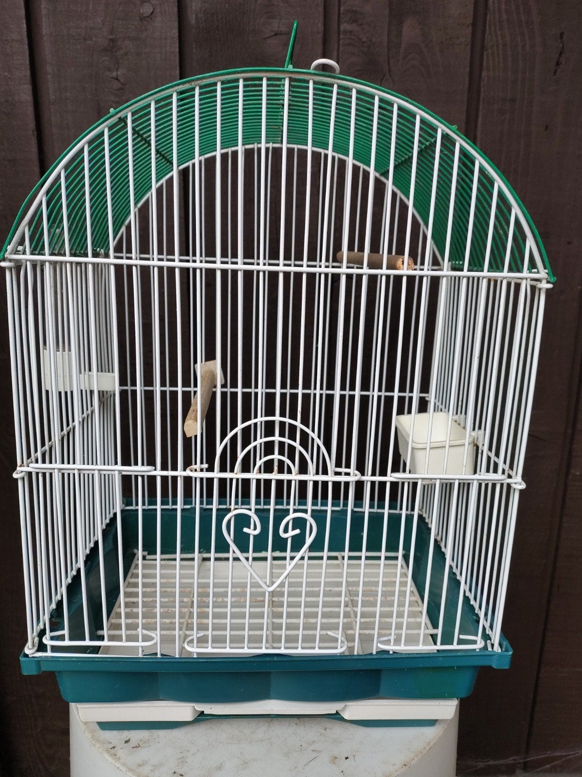 Jonge kanaries, Dieren en Toebehoren