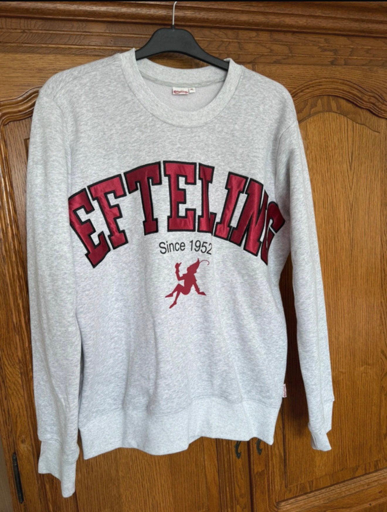 Efteling pull maat xl, Ophalen, Zo goed als nieuw, Maat 46/48 (XL) of groter