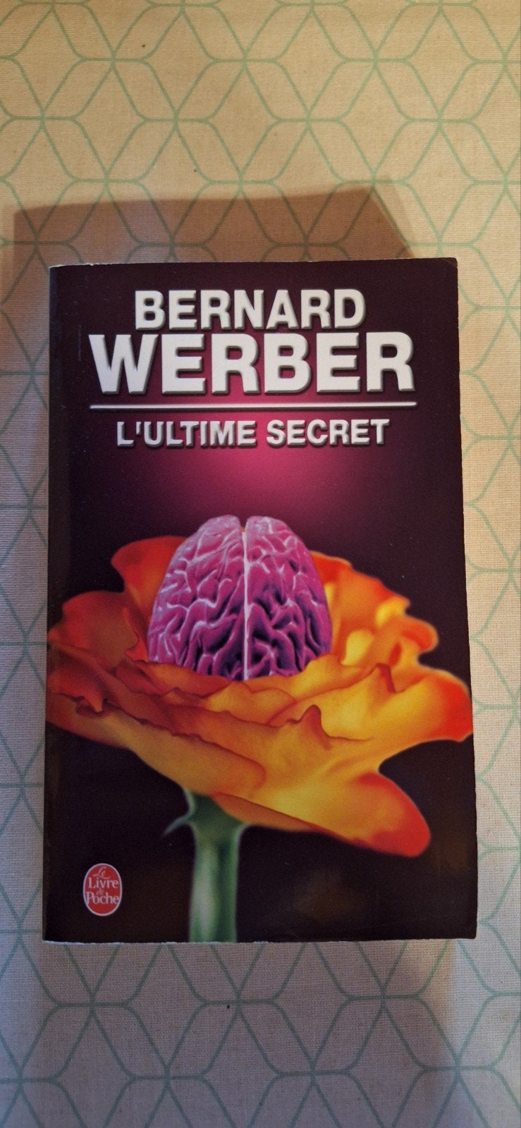 Bernard Werber - L'Ultime Secret, Enlèvement, Bernard Werber