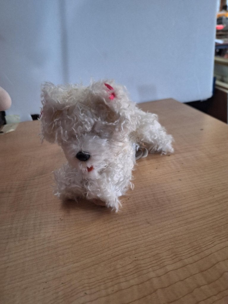 knuffel hond, Ophalen of Verzenden, Zo goed als nieuw, Hond