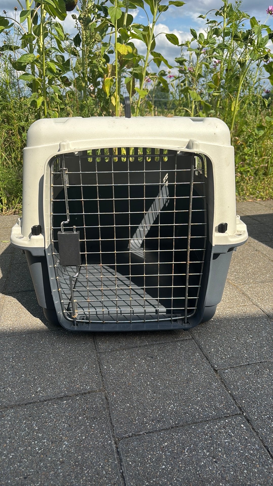 Reisbenche, Dieren en Toebehoren, Ophalen, Gebruikt