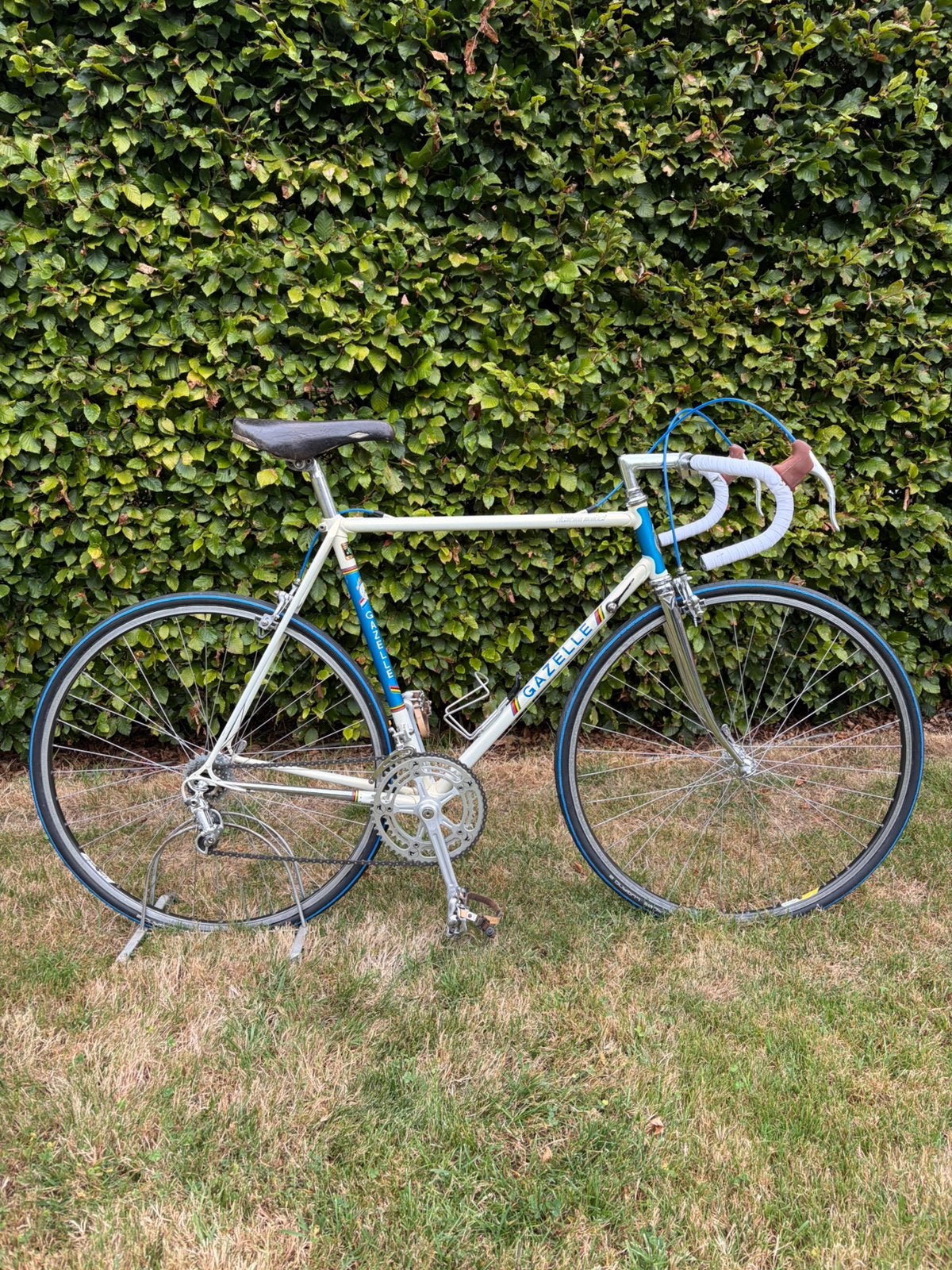 Gazelle champion mondial Super AA, Vélos & Vélomoteurs, 55 à 59 cm, Enlèvement, Frein sur jante, Années 60 ou plus récent