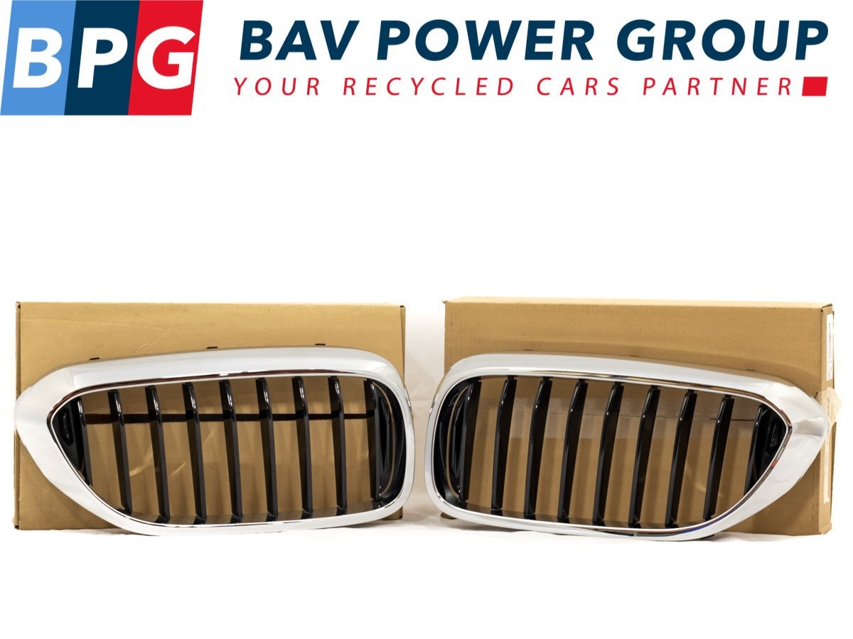 GRILLE ENSEMBLE ROOSTER NIEREN LINKS RECHTS 5 serie (G30), Utilisé, BMW, Petuelring 130
80809  München, DE, Bayerische Motoren Werke AG