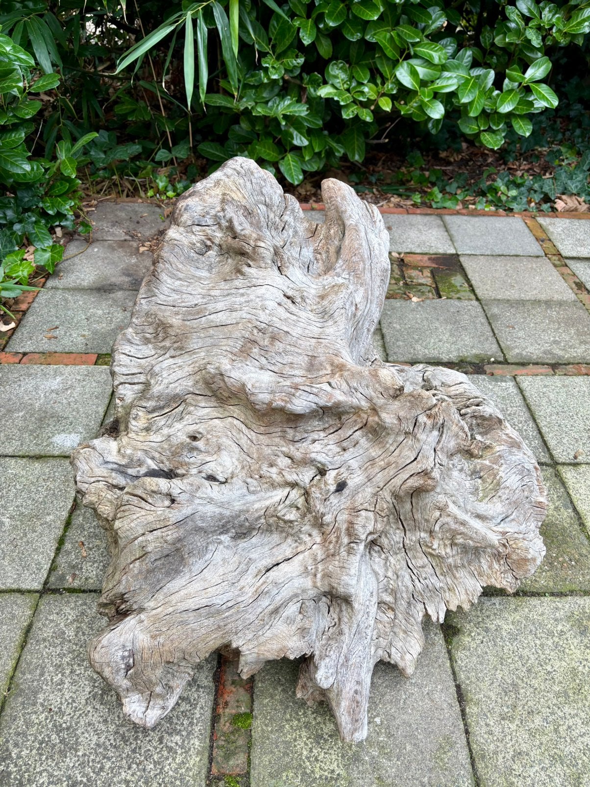 Sculpture unique de souche/racine de chêne massif 71 cm, Articles professionnels, Enlèvement