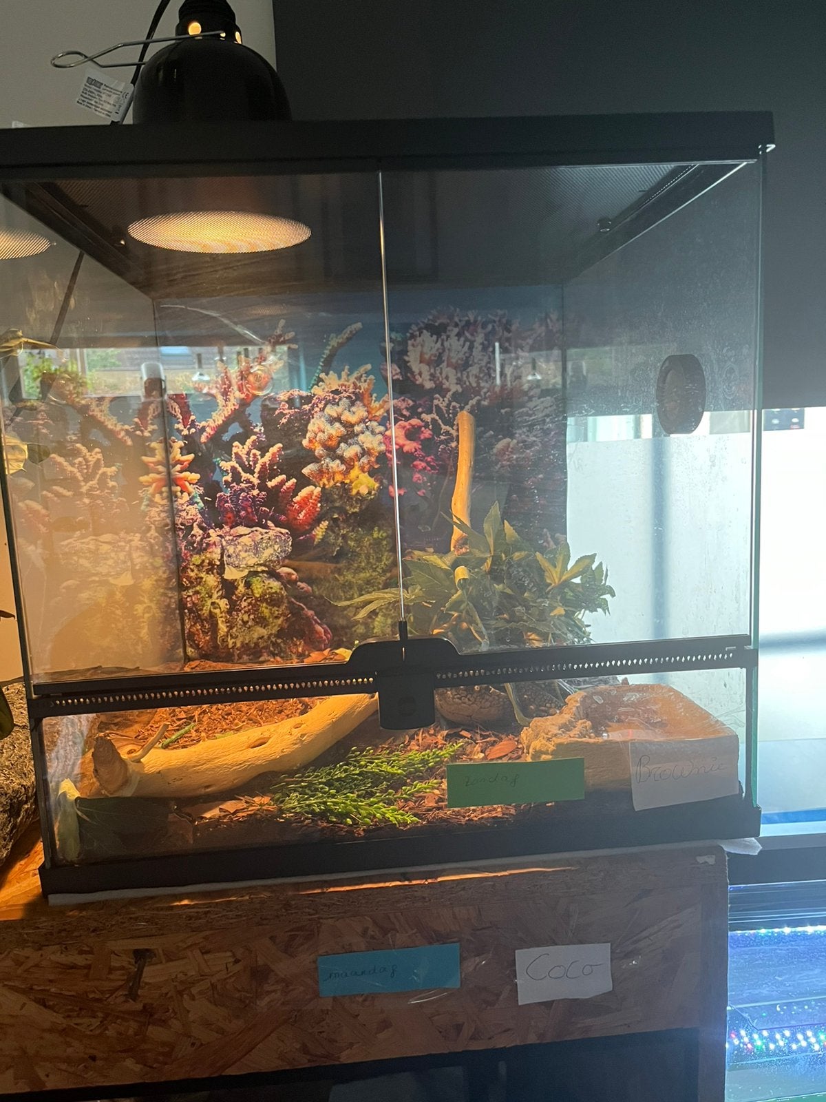 Terrarium 45x45x45, Ophalen, Zo goed als nieuw