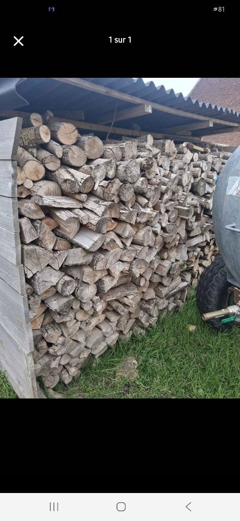 Bois de chauffage, Enlèvement, Bûches