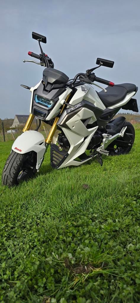 Honda Msx 125cc, Motoren, Particulier, 125 cc, Overig