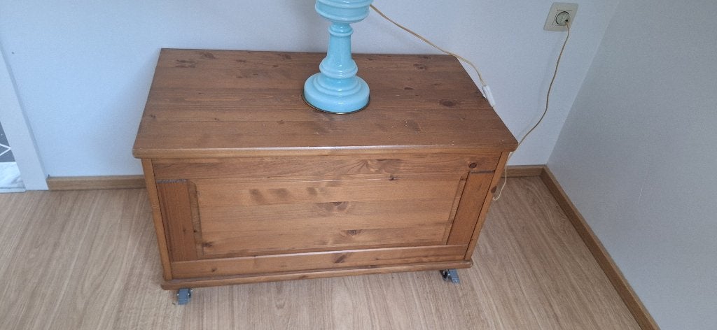 kist, Huis en Inrichting, Woonaccessoires | Kisten, Ophalen, Overige materialen, Gebruikt, 50 tot 100 cm