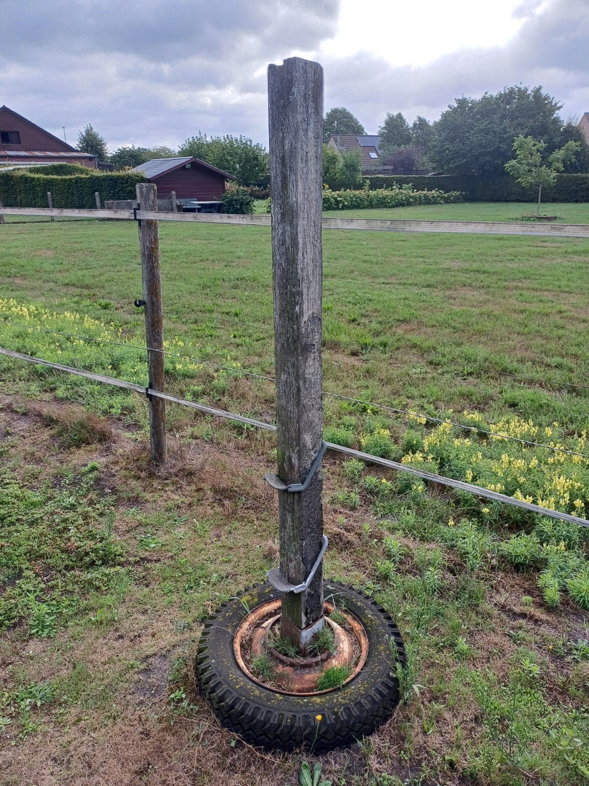 6 springstaanders inclusief lepels