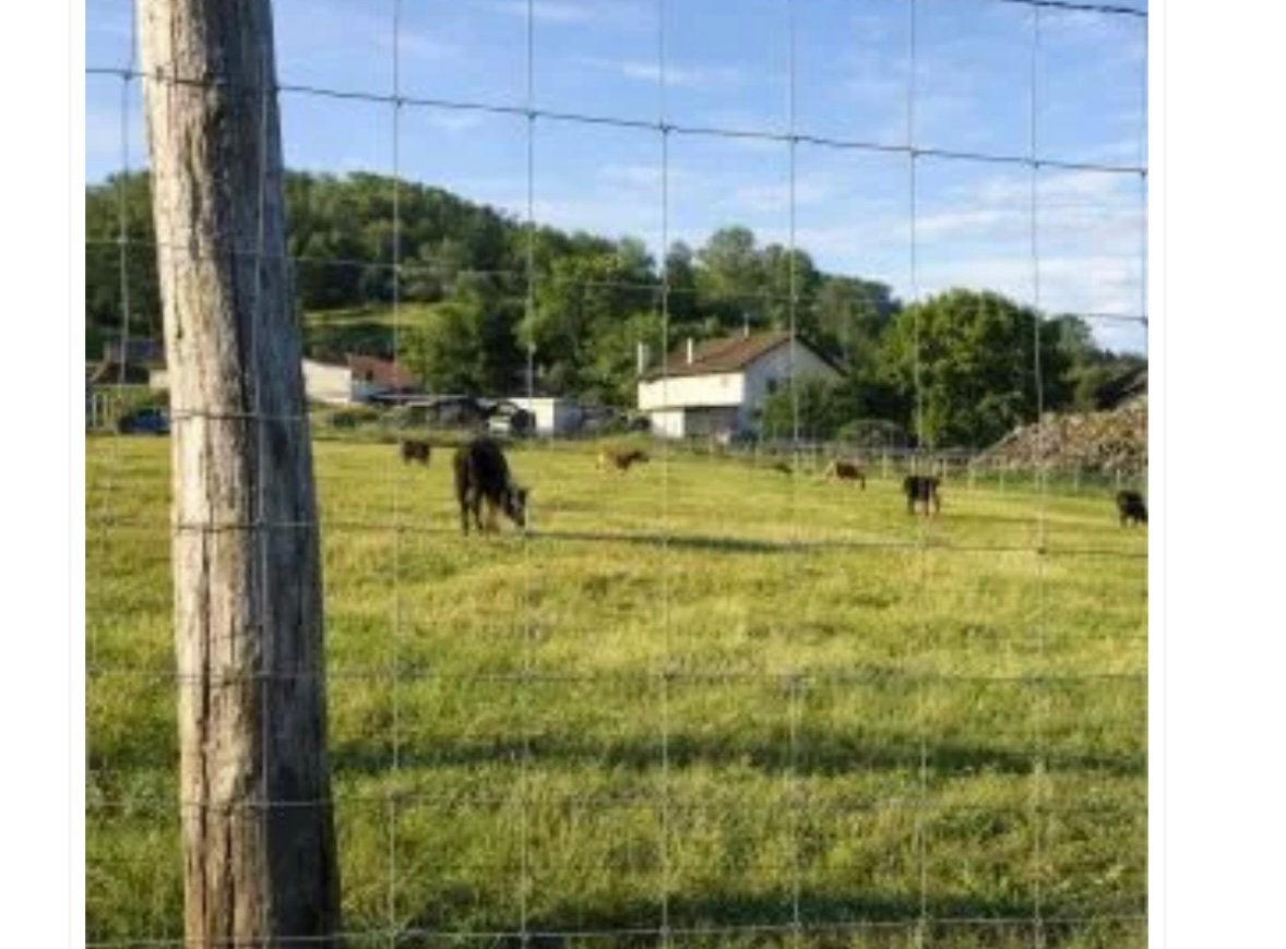 Grillage noué galvanisé 2 m x 50 m – clôture terrain, Enlèvement