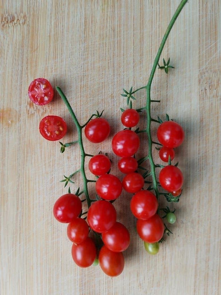 5 graines de tomate cerise précoce Korney's Jelly Bean, Jardin & Terrasse, Bulbes & Semences, Envoi, Printemps, Graine