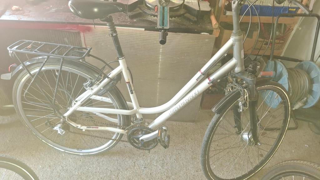 Damesfiets Kalkhoff, Ophalen