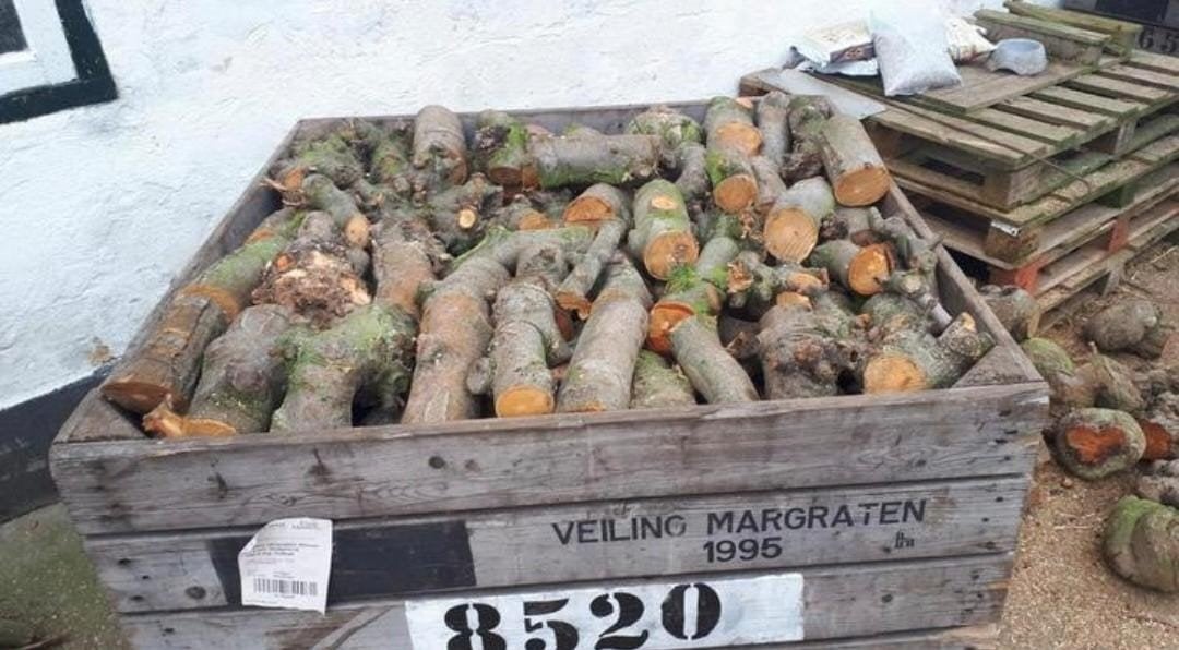 Te koop brandhout van appelbomen., 6 m³ of meer, Ophalen, Overige houtsoorten, Stammen