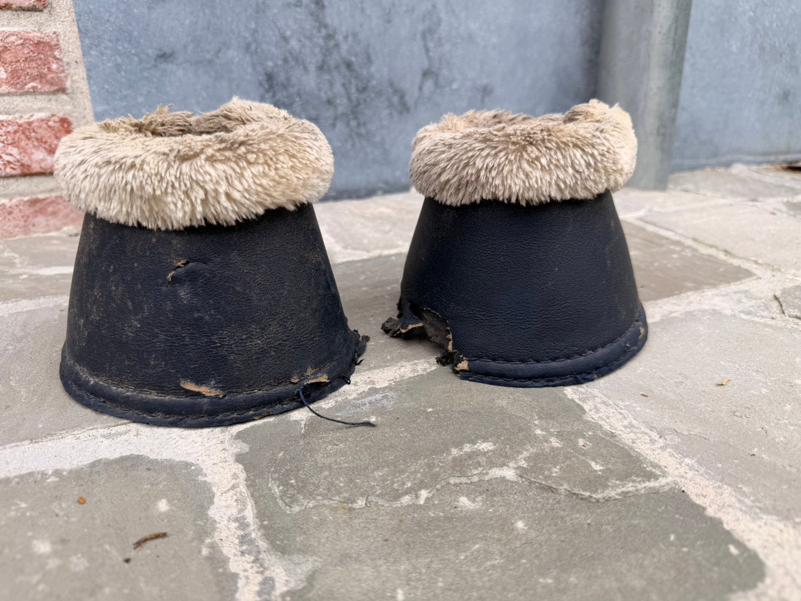 Springschoenen BR maat S, Dieren en Toebehoren, Ophalen, Springschoenen, BR, Zo goed als nieuw