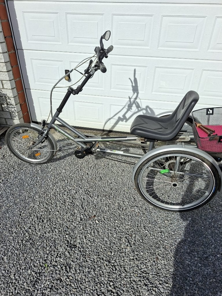 Elektrische driewielerfiets, Enlèvement, Utilisé, Tri Bike