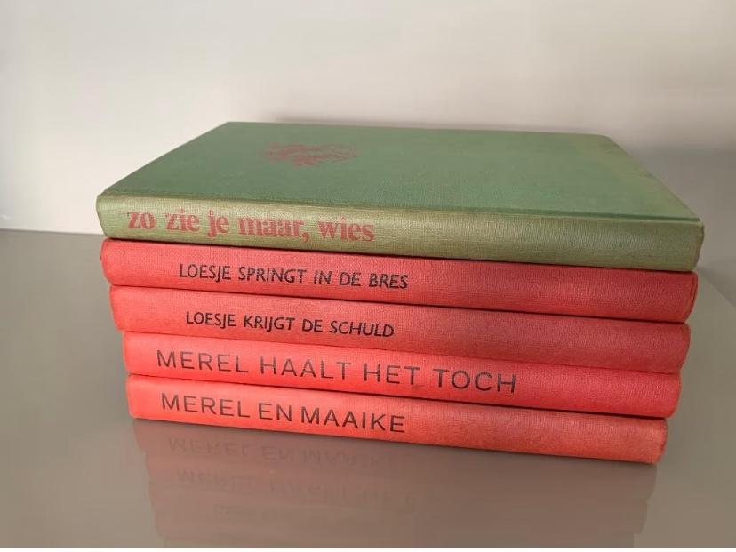 5 x Anneke Bloemen, hardcover, Boeken, Ophalen of Verzenden, Gelezen, Fictie