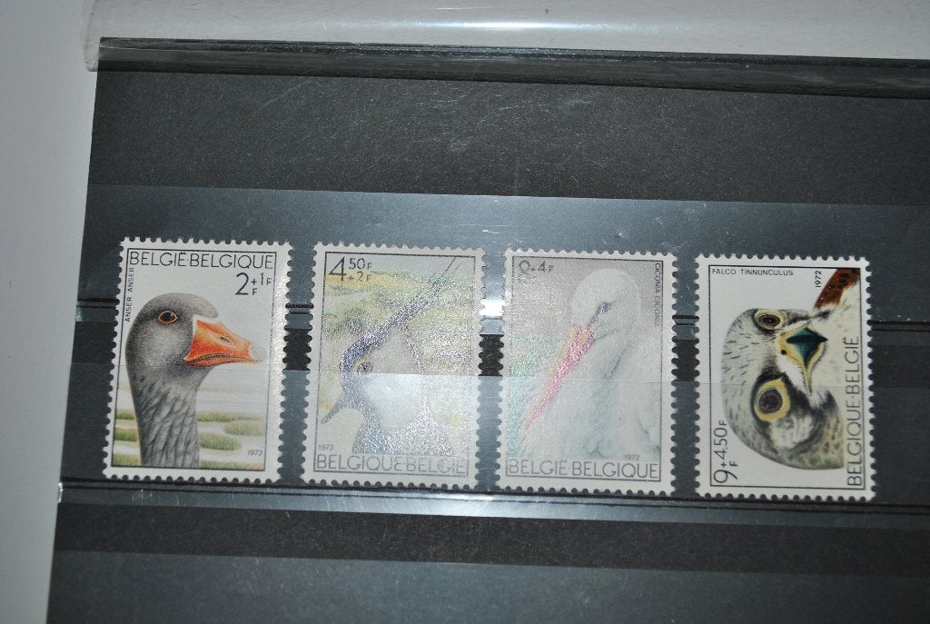 Belgique 1972 Oiseaux MNH Complet, Enlèvement ou Envoi, Non oblitéré, Europe