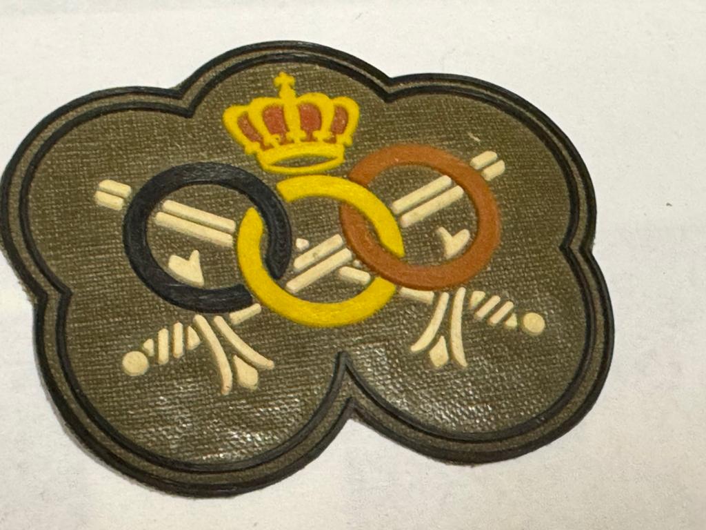 Belgische Militaire Fysieke Fitness Badge, Verzamelen, Ophalen of Verzenden, Landmacht, Embleem of Badge