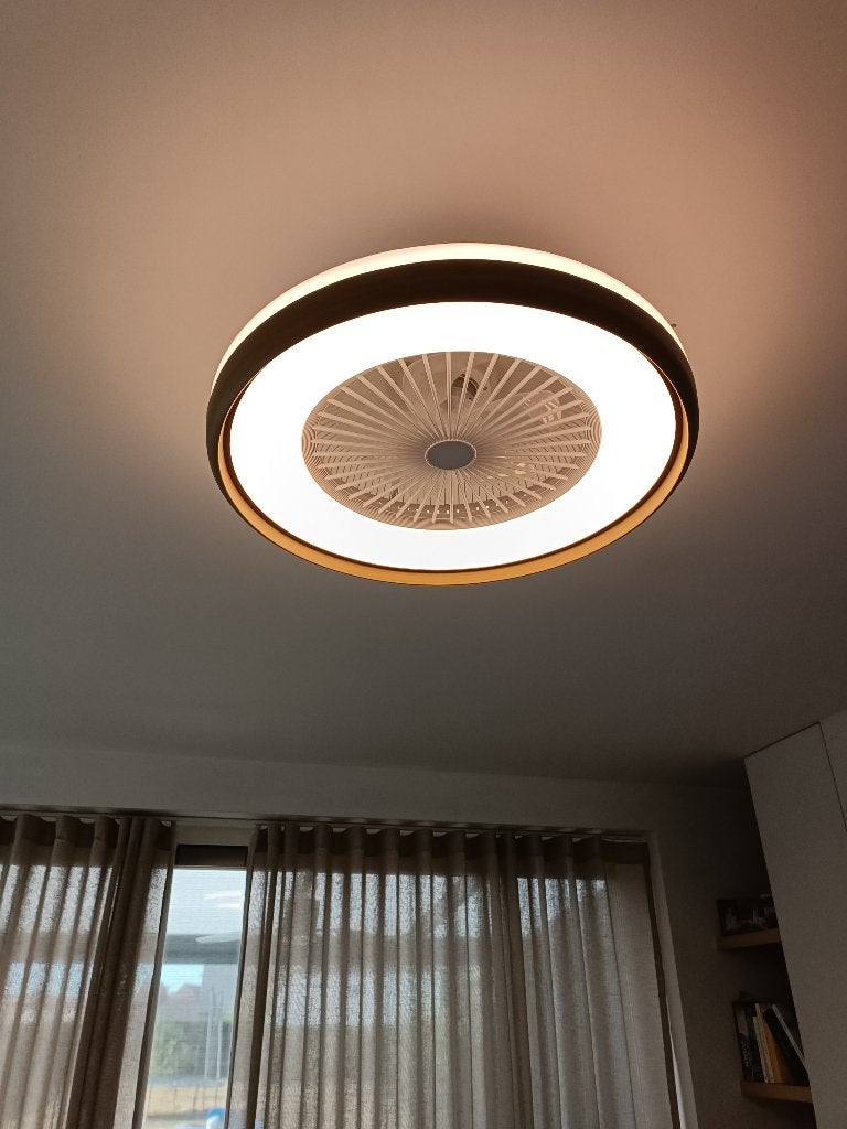 Plafondventilator - ventilator, Elektronische apparatuur, Ventilatoren, Ophalen, Ventilator met afstandsbediening, Zo goed als nieuw