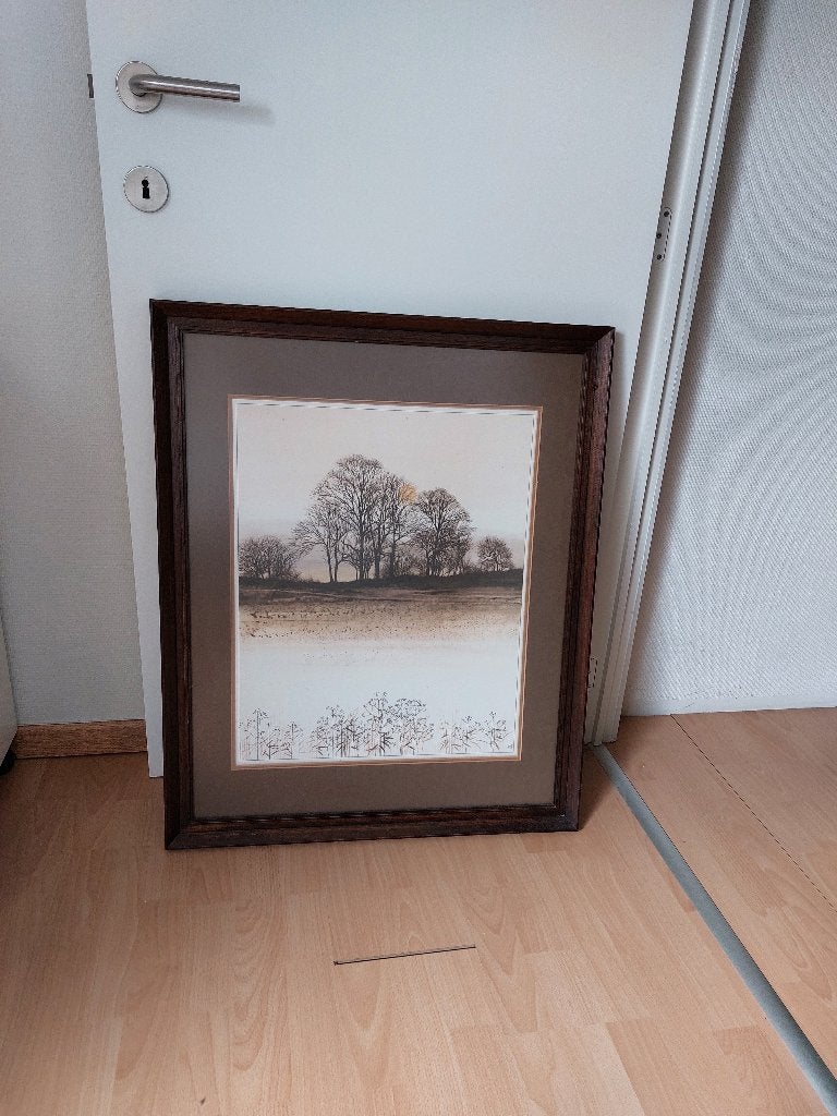 Landschap, Maison & Meubles, Accessoires pour la Maison | Peintures, Dessins & Photos, Enlèvement, Utilisé, 50 à 75 cm, 75 – 100