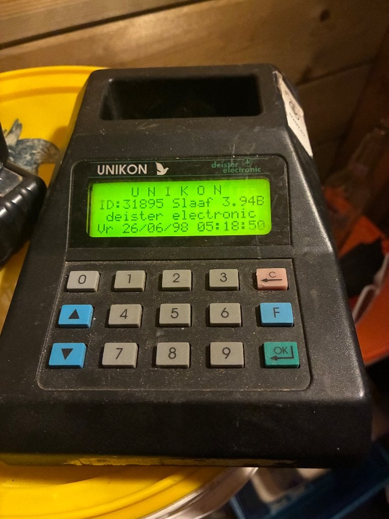 Postduiven unikon profi, Sexe inconnu, Pigeon voyageur