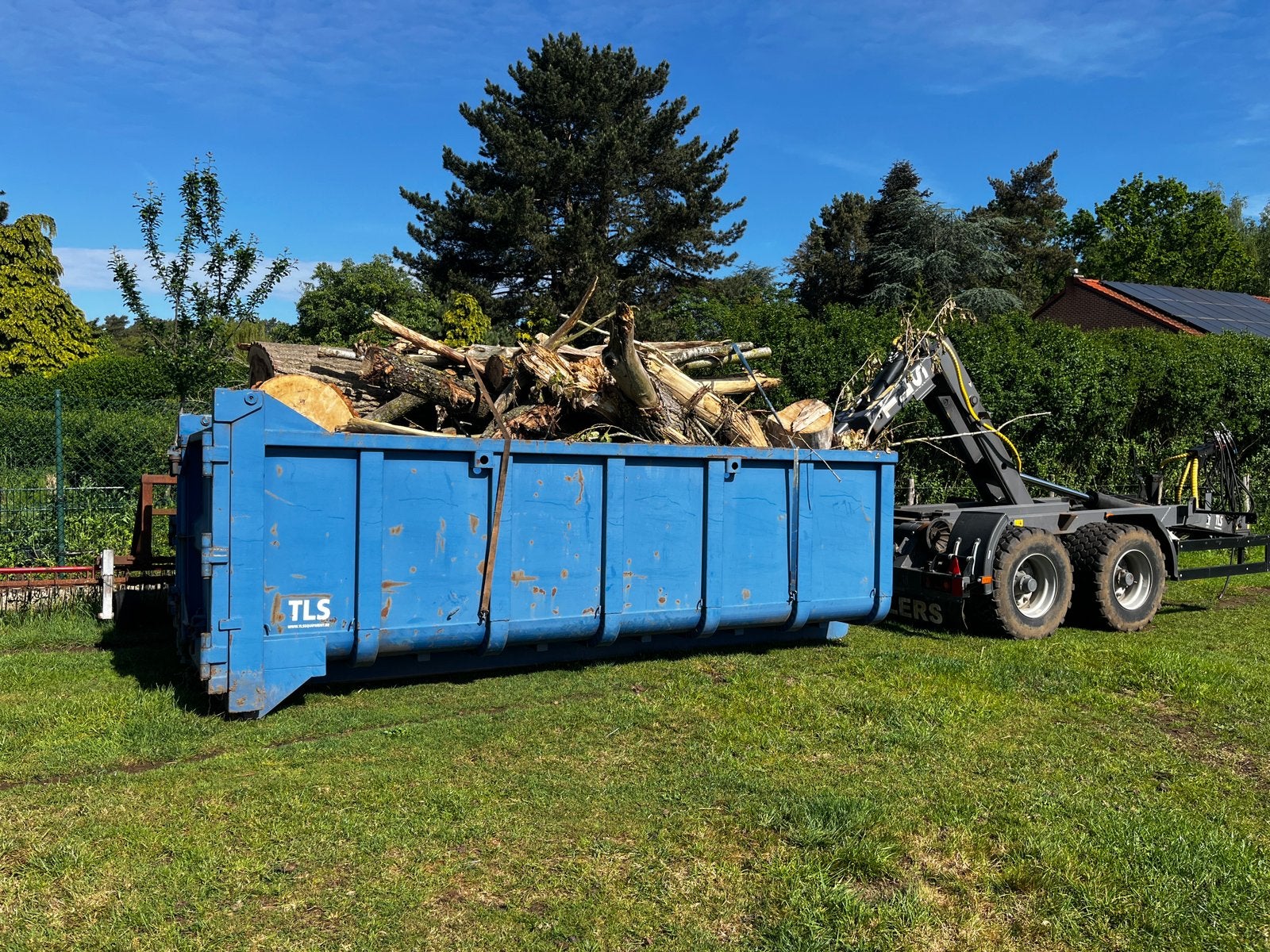 Brandhout - populier, Enlèvement, Troncs d'arbres
