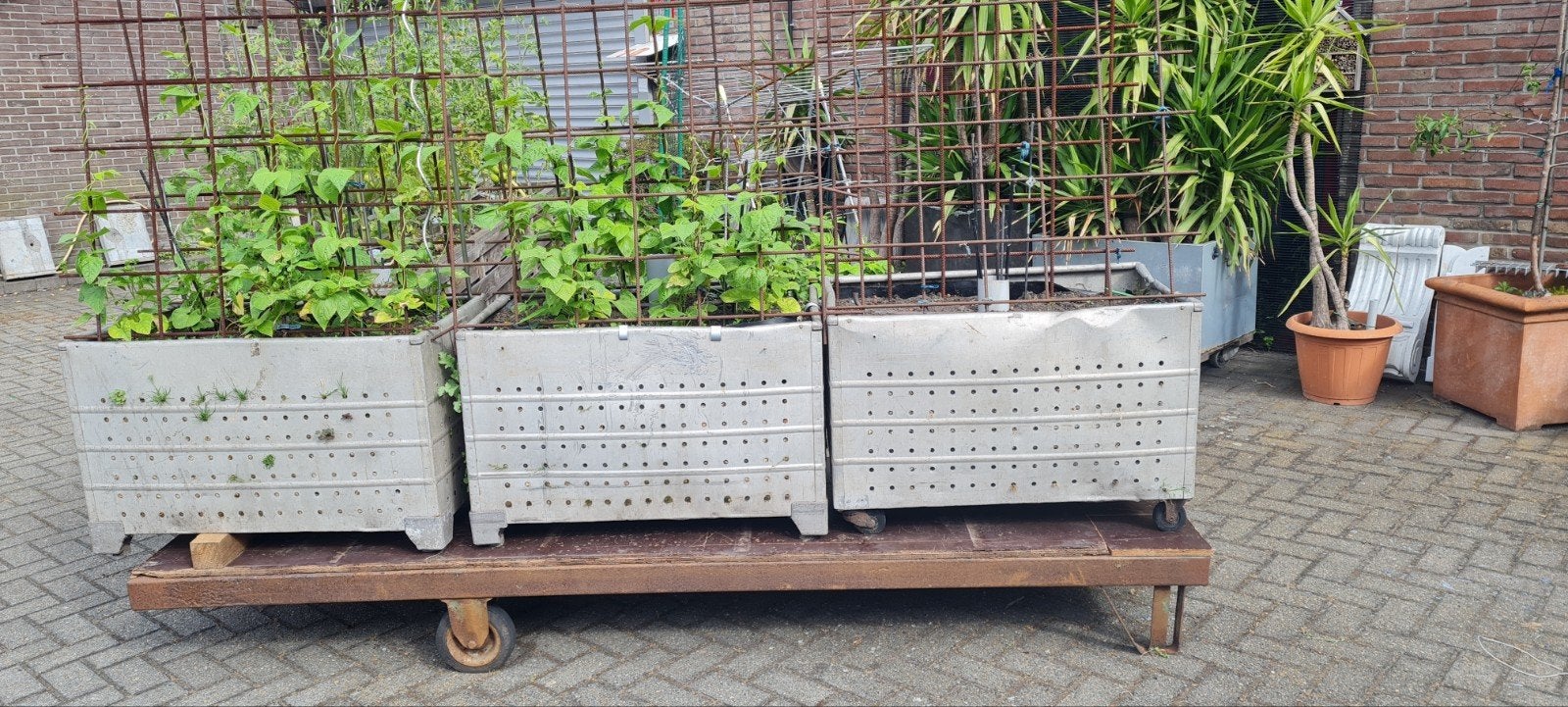3 alluminium ,moestuin bakken  (zonder de kar), Ophalen, Moestuin