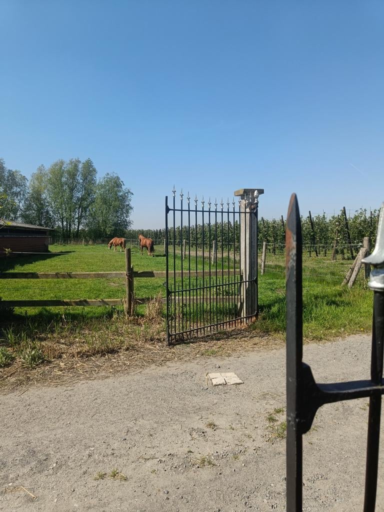 weide en stalplaats beschikbaar