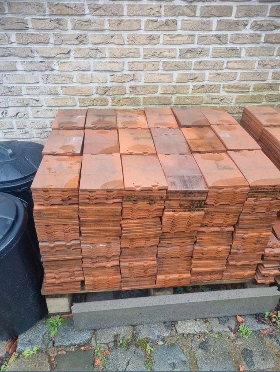 rosemary dakpannen, Doe-het-zelf en Bouw, Dakpannen en Dakbedekking, Ophalen, Rood, Steen of Klei, Dakpannen