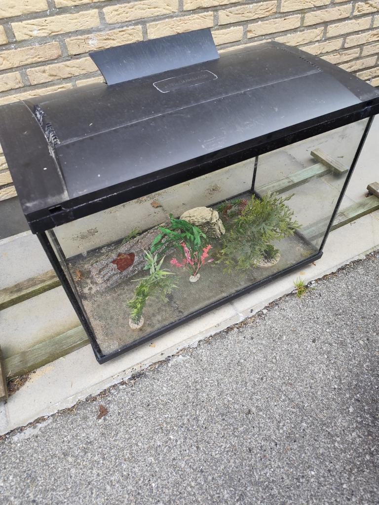 Aquarium 70x45x35, Animaux & Accessoires, Poissons | Aquariums & Accessoires, Enlèvement