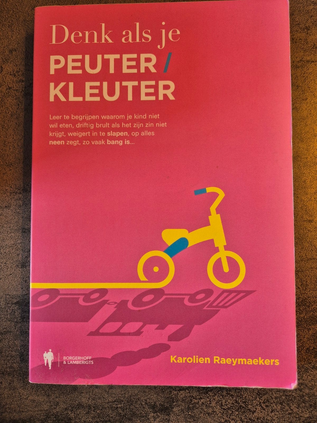 Karolien Raeymaekers - Denk als je peuter/kleuter, Livres, Grossesse & Éducation, Enlèvement ou Envoi, Karolien Raeymaekers