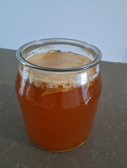 Gezonde scoby voor kombucha, Diversen, Levensmiddelen, Ophalen