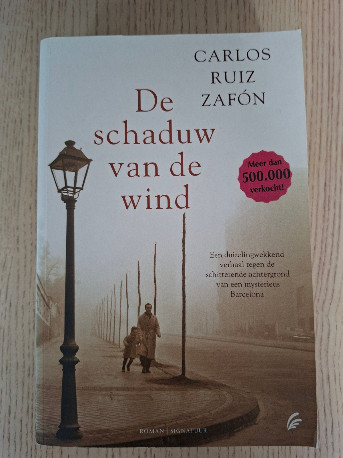 De schaduw van de wind, Carlos ruin zafon, Ophalen of Verzenden