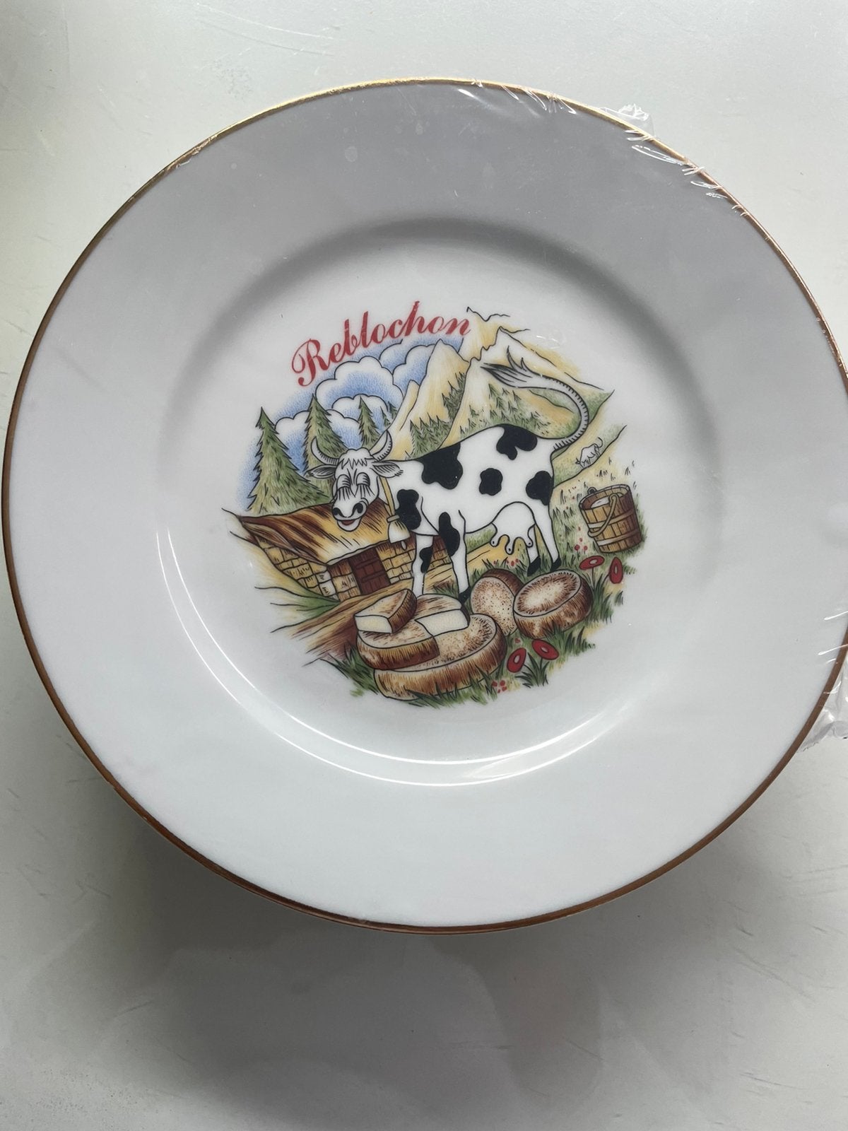 Porcelaine Limoges assiettes, Neuf, Porcelaine