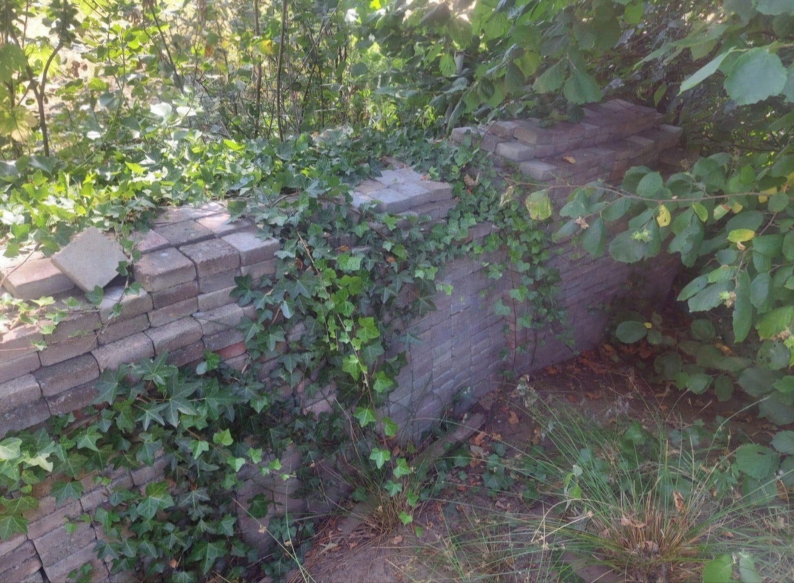 0,05 euro per klinker (ong. 6300 stuks beschikbaar) 10x10cm, Tuin en Terras, Ophalen, Klinkers
