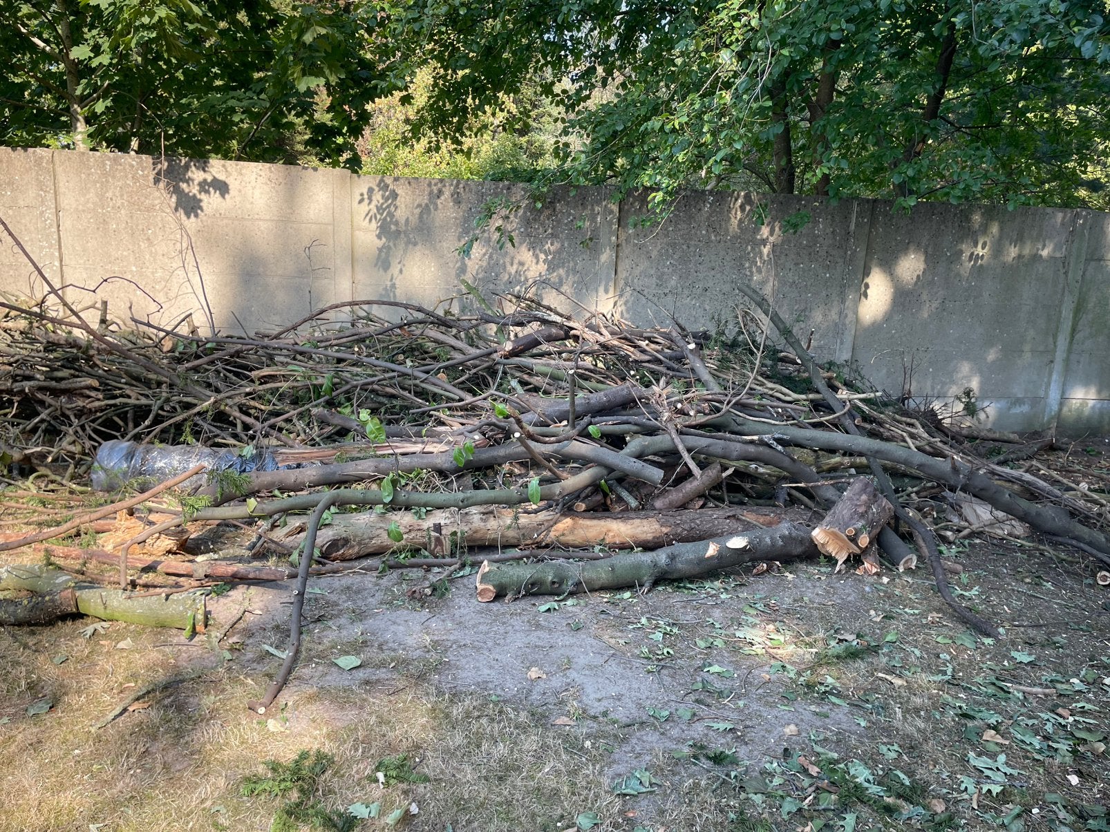 Brandhout, Ophalen, Eikenhout, Takken