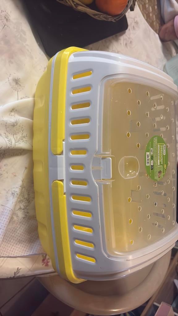 Transportbox groot, Dieren en Toebehoren, Ophalen, Nieuw