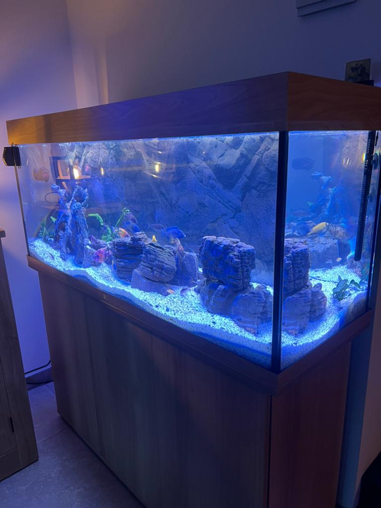 Juwel rio 240, Dieren en Toebehoren, Ophalen, Zo goed als nieuw, Filter, Juwel