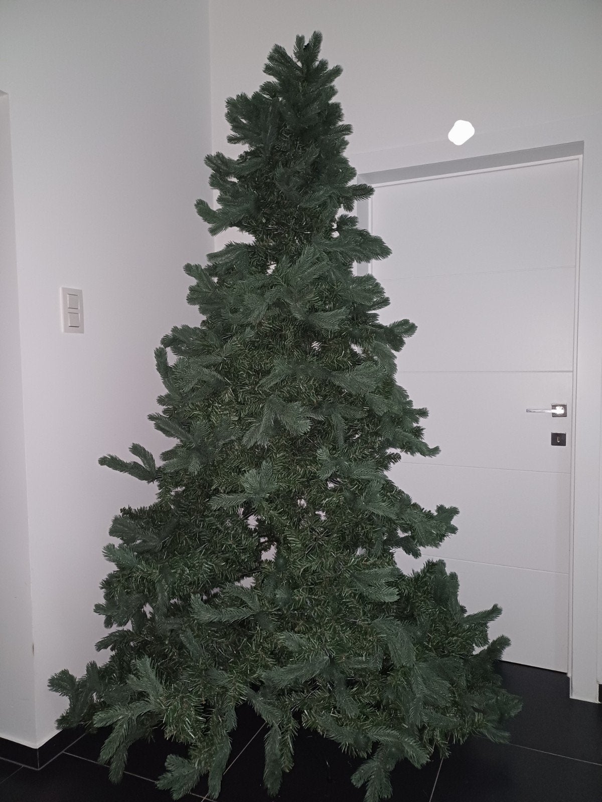 kerstboom, Enlèvement