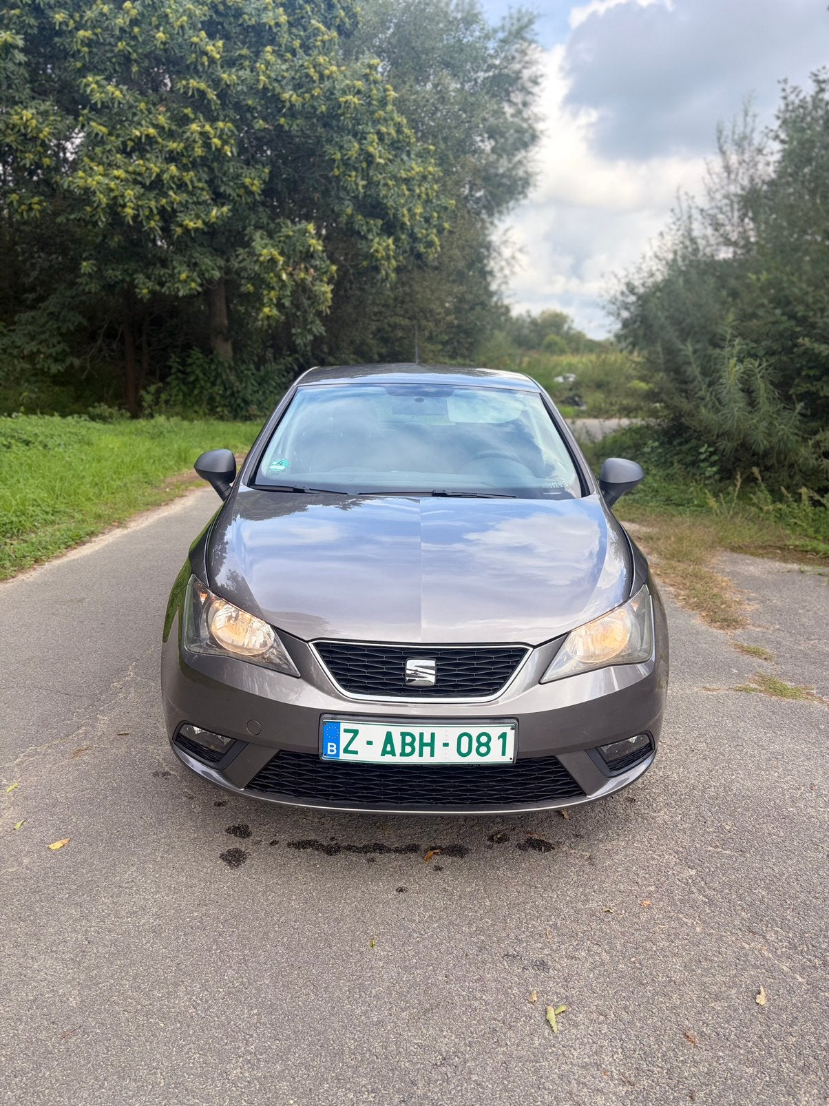 Seat Ibiza 2015 Benzine, Autos, Euro 5, Achat, Entreprise, Ibiza