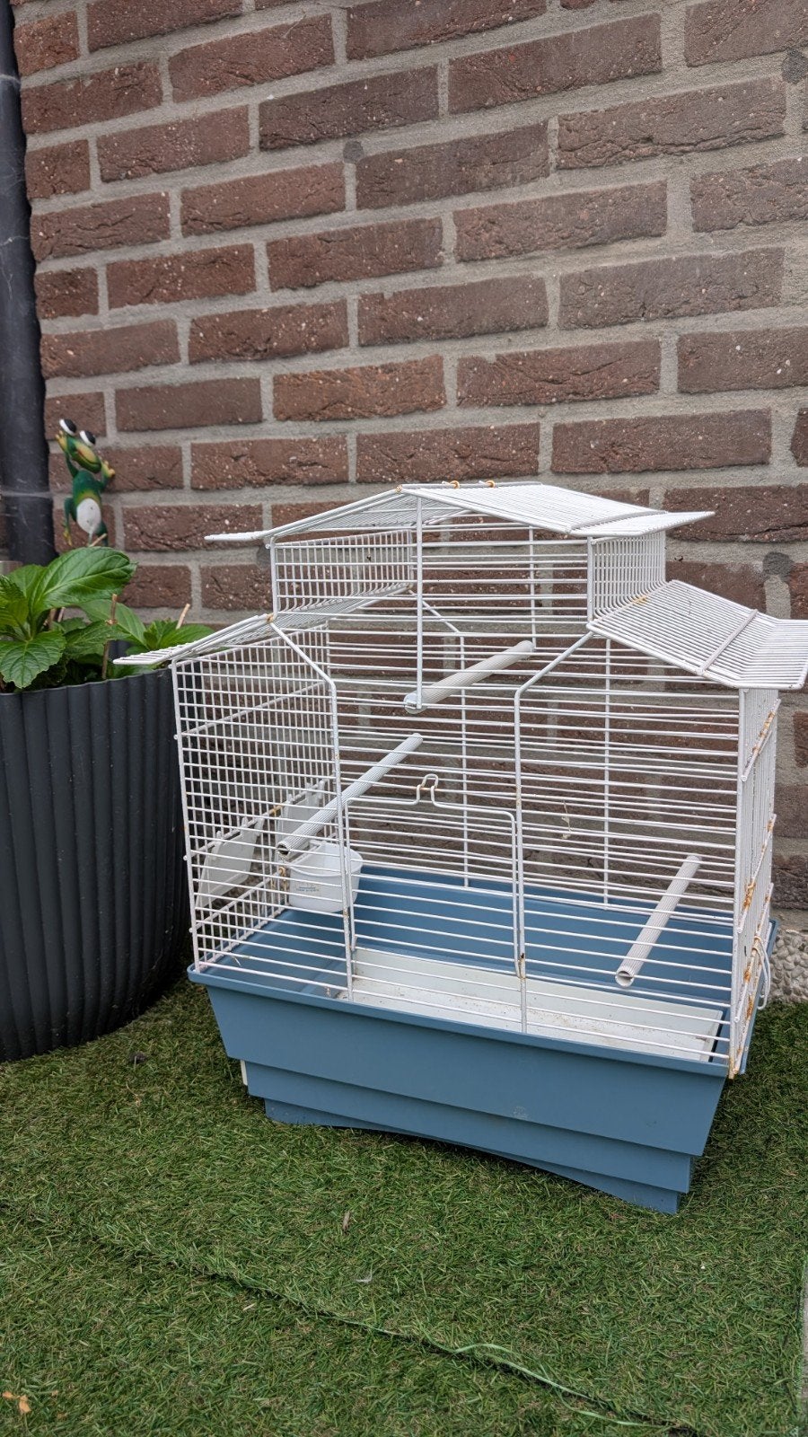 Cage à oiseaux, Animaux & Accessoires, Enlèvement, Cage à oiseaux