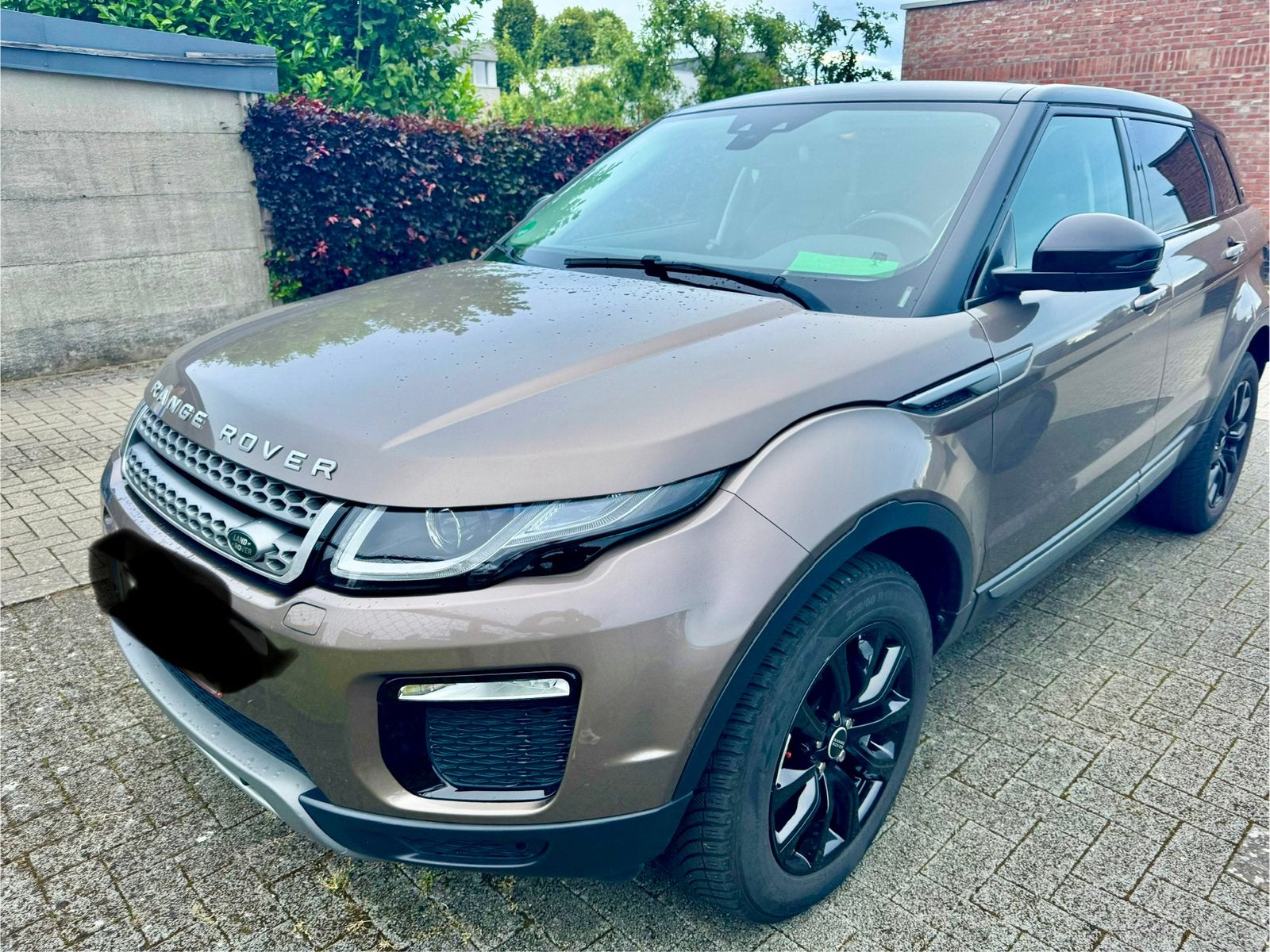 Range Rover Evoque, Autos, Cuir, Achat, Autres couleurs, Noir