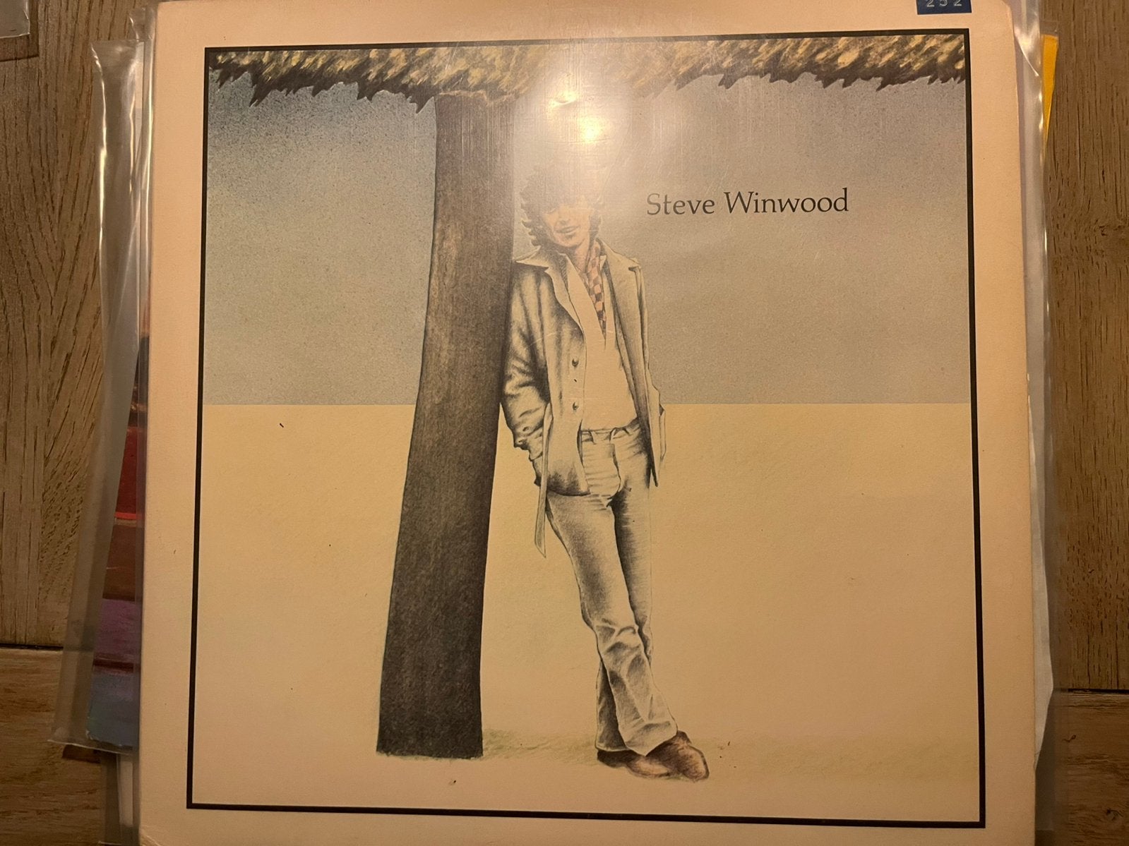 LP Steve Winwood, Cd's en Dvd's, Verzenden, Zo goed als nieuw, LP