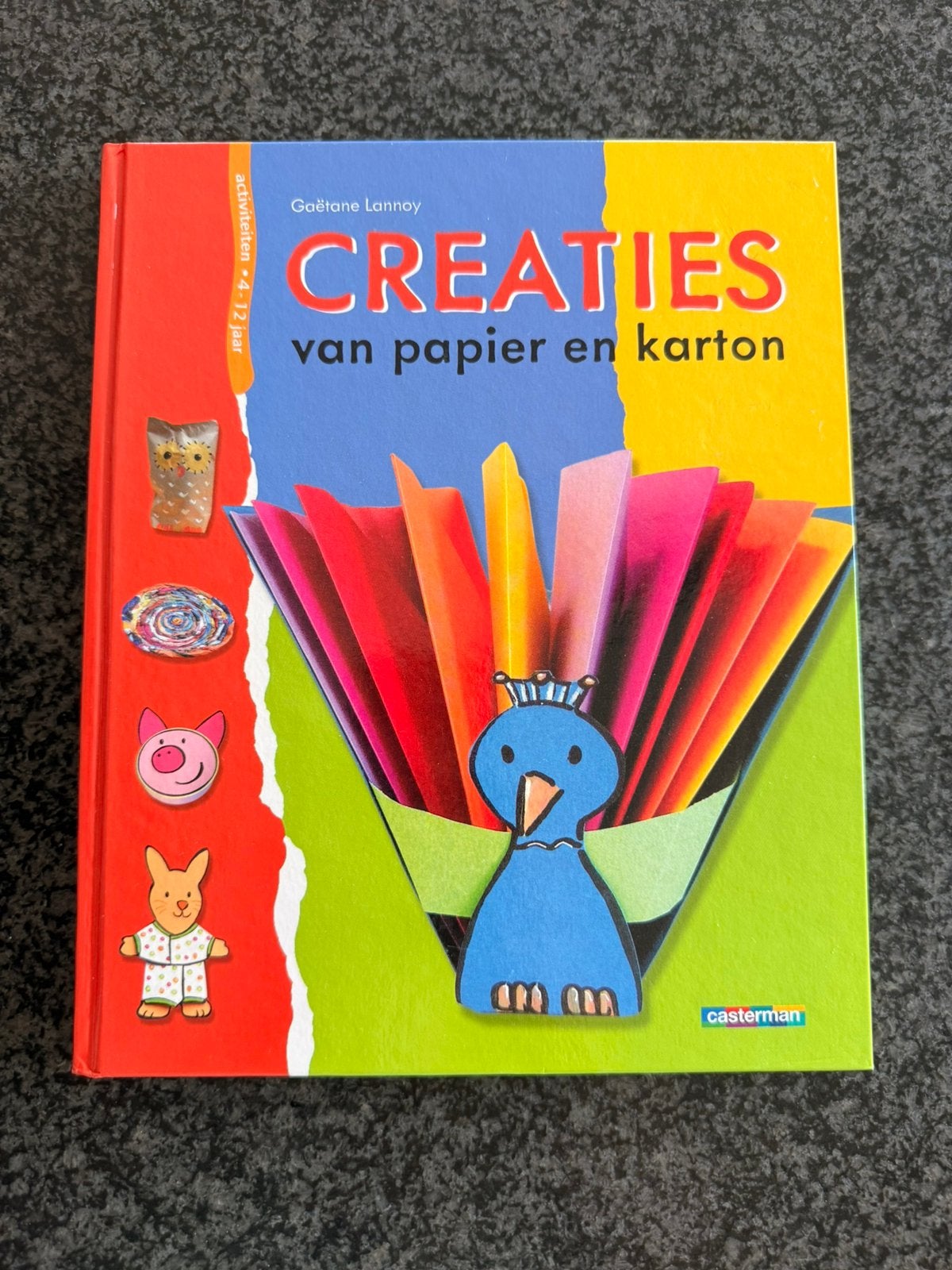 Boek creaties van papier en karton, Ophalen of Verzenden, Zo goed als nieuw